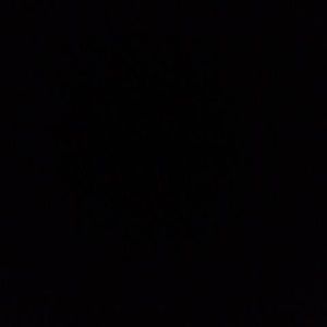 Meet your Posher, Billy